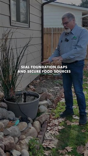 Rodent Problems in Garden City, ID