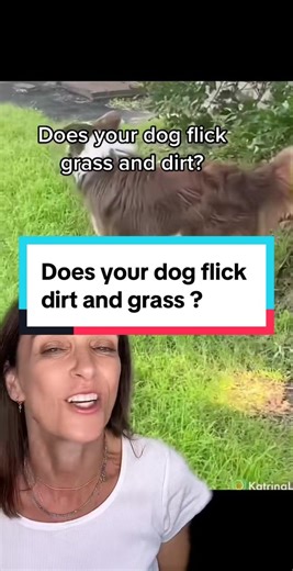 Understanding Your Dog's Scent Preferences