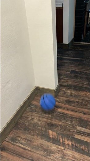 Beeping Basketball, By Blind in Mind