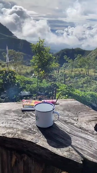 Gayo asli Aceh (@hijaugayoaceh)’s videos with Dj Terminator X Mashup Old X Tumanedang Dj Danvata - Dj Danvata