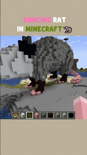 I Made RATS Dance in Minecraft 💃🐀(So Adorable!)