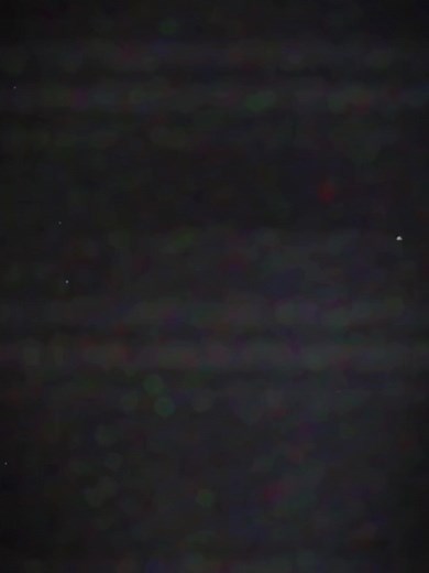 #CapCut credit to @/BlueyShorties for the clip but im wheeze laughing in my bed right now hesjjfkk #fyp #bluey #bingo