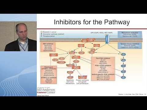 Targeting the PI3K-Akt-mTOR Pathway