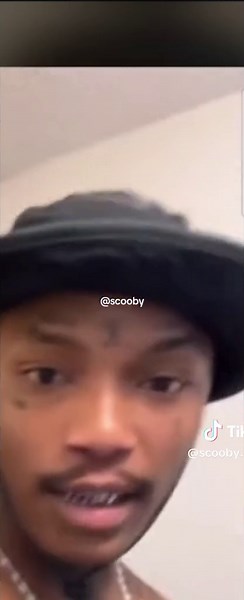 Shebeshxt Funny Moments and Videos Compilation