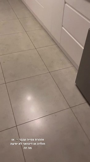 Capturing a Mouse in a Modern Home Setting