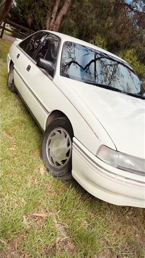 FJ Holden & VN Commodore 😎