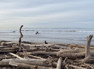 California State Parks issues underwater hazard warning along Carpinteria State Beach