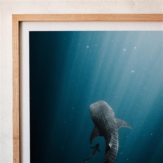 Whale Shark Fine Art Print, Aerial Ocean Photography, Minimalist Ocean Art, Blue Abstract Wall Art, Statement Artwork, Coastal Photography - Etsy Australia