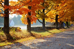 Forest Society Offers 5 Easy Hikes, in 5 Weeks