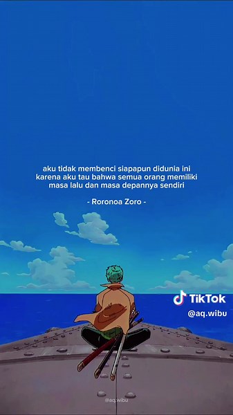 Zoro's Journey: Quotes and Moments in One Piece