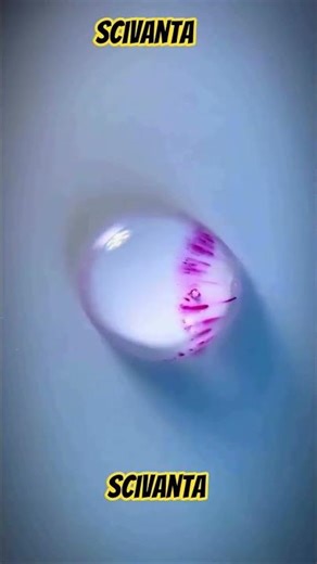 Watch the effect of a base on a phenolphthalein solution #chemistry #experiment #base