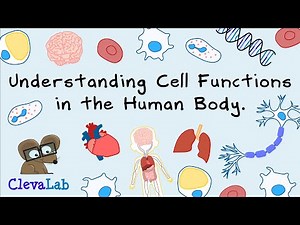 Cell Structure and Function - Cell Biology Explained.