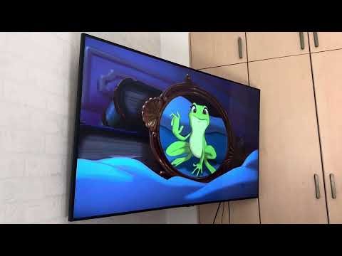 Opening to Old Dogs 2010 Singaporean VCD