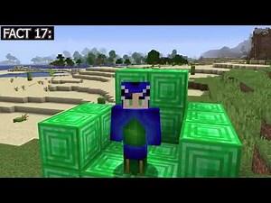 25 MINECRAFT SECRETS YOU DIDN'T KNOW | MINECRAFT IN HINDI