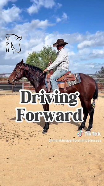 Ground Driving and #Drawing #Back on a #Cow #teaching a #younghorse to #draw #training #horses #riding #colts #mankinsperformancehorses #horsetok #horsetraining #horsesoftiktok #fyp #fypシ #horsesontiktok #workingcows #reinedcowhorse #foryou #horselife #horsemanship #cowhorse #reining #cutting #rodeo #showhorse #cowboys #coltstarting #horsevideo #ridinghorses