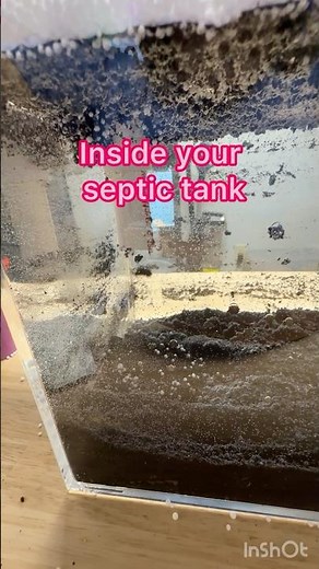 How does a septic tank work? #septictank
