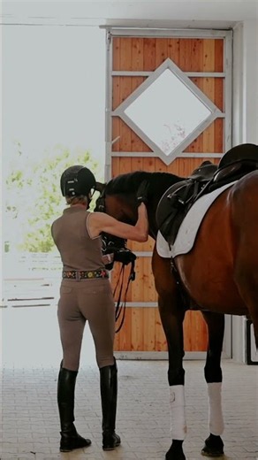 Bibi & Tina x Ingrid Klimke - Door is clear
