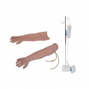 [Hot Item] Venipuncture & Intramuscular Injection Arm Model Medical Education Training Simulator