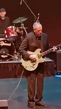 POWDER BLUES "Hear That Guitar Ring" TOM LAVIN big guitar solo Live in Chilliwack Nov. 2025