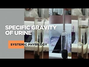 Determining Specific Gravity of Urine Physiology|DVM|CVASU|
