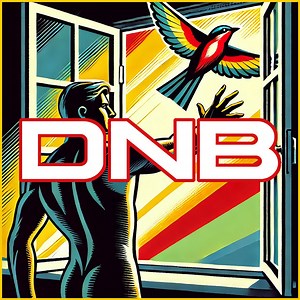DNB Concert & Tour History  | Concert Archives