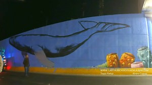 Capital Brokers Mexico on Reels | Facebook