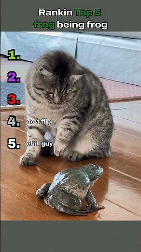 Ranking Top 5 frog being frog moments 😱