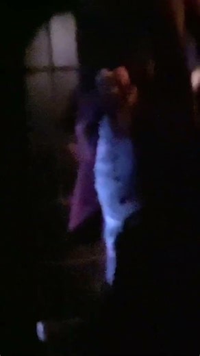 Bride of Frankenstein￼ (USH/hhn)