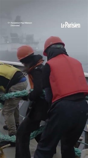 Un navire de Paul Watson percute délibérément un chalutier