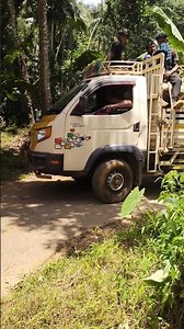 Timber Loading on Truck 🚛🌲 | Roadside Wood Loading Process"---