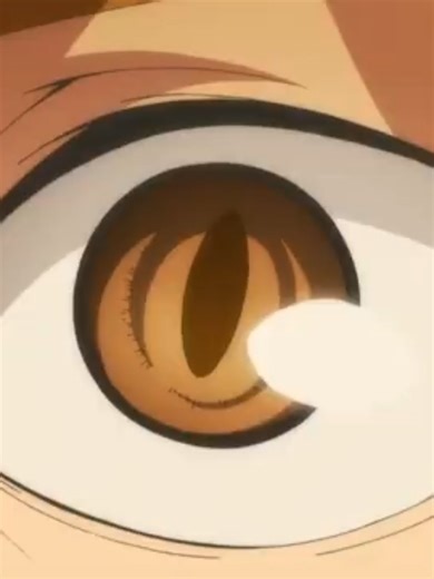 Hinata Shoyo: The Heart of Haikyuu