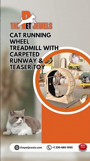 Cat Running Wheel Treadmill - Carpeted Runway with Teaser Toy