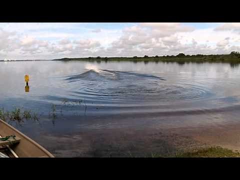 SPS Swamp Runner Longtail GX200 hole shot