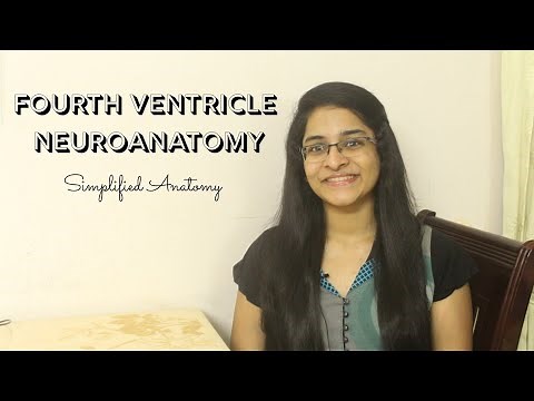 FOURTH VENTRICLE | NEUROANATOMY | SIMPLIFIED