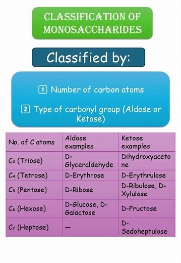 Monosaccharide Classification: Aldose vs. Ketose #shorts #biochemistry