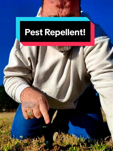 #pest #gopher #mole #tiktokshopfinds #repellent