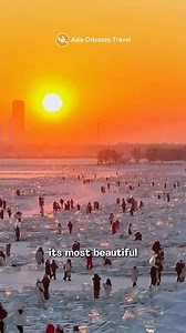 Harbin 5 days guide——you deserve this!||❄️Daily Itinerary： 📍Day1：✈➣Arrival in Harbin➣Check-in 📍Day2：Siberian Tiger Park➣Sun Island➣Harbin Ice and Snow World 📍Day3：Snowy Street➣Observation Deck 📍Day4：Sunrise (Optional)➣Dream Home 📍Day5：Winter Swimming Show➣Saint Sophia Cathedral➣Stalin Park➣Central Street➣Lao Daowai➣go home✈ Contact us if you need any help ﻿#harbin[话题]#﻿ ﻿#harbin2025[话题]#﻿ ﻿#HarbinTravel[话题]#﻿ ﻿#chinatravel[话题]#﻿ ﻿#HarbinTrip[话题]#﻿ ﻿#chinatravelwithrednote[话题]#﻿ ﻿#和小红书游中国[话题