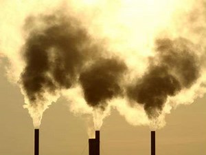 Climate Policy Actually Slowed Decarbonization Trends