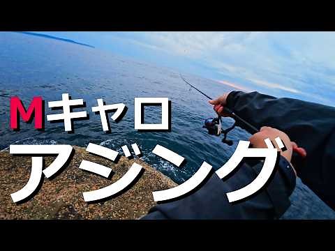 アジやサバが入れ食い！Mキャロアジングまじ釣れる！