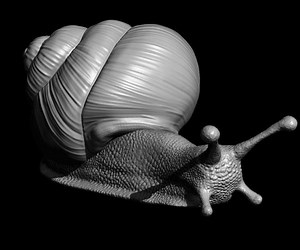 ArtStation - Snail 3D printable 3D print model | Resources