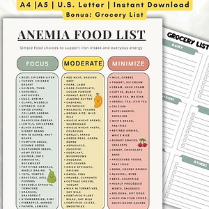 Liste PDF des aliments pour l'anémie, tableau des aliments riches en fer, aliments à faible teneur en fer et en fer, soutien en vitamine C avec liste de courses vierge - Etsy France