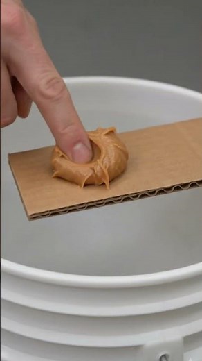 Simple DIY Homemade Rat Trap That Works Instantly
