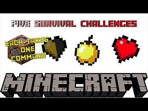 Five Survival Challenges | Single Command Challenges
