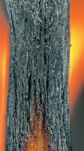 Close-up of a Match: How it Burns #shorts #zoom #asmr