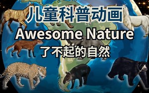 值得一看的【儿童科普动画】《Awesome Nature 了不起的自然》128集全（带外挂字幕）