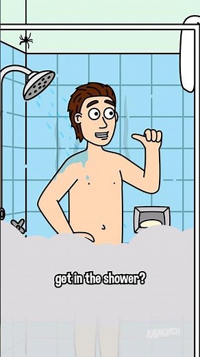 Shower Spiders funny parody
