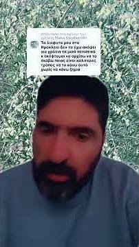 Καλλιέργεια ελαιόδεντρων. Πότε γίνεται και με πιο τρόπο .