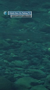 Why do salmon take flies? Tell us your theory - ‘The North Atlantic Miracle’ on FishingTV Click the link to watch now! https://www.fishingtv.com/video/the-north-atlantic-miracle/ Of all the species of fish out there, perhaps the most iconic is the Atlantic Salmon, and much of that is down to the species remarkable lifecycle. North Atlantic Miracle – shot in the astonishing scenery and untouched scenery of western Iceland – tells these fishes’ life stories from their point of view– from vulnerabl