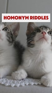 Homonym Riddles - Can you solve these homonym riddles. Can you get 5/5? . . . . . #BrainChallenge #quiz #funquizzes #questions #brainteaser #puzzle #trivia #reels #country #quizzes #funquiz #fun #funnyvideos #funquestions #QuizTime #QuizChallenge #quiznight #quiztimechallenge #quizmaster #quizquestions #quizzing #triviachallenge #TriviaTime #triviaquiz #TriviaAddict #triviagame #TriviaQuestions #trivianight #quizvideos #quizgame | Brain Challenge