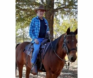 Clarence Wayne Prewitt Obituary (2024) - Rayville, LA - Mulhearn Funeral Home - Rayville